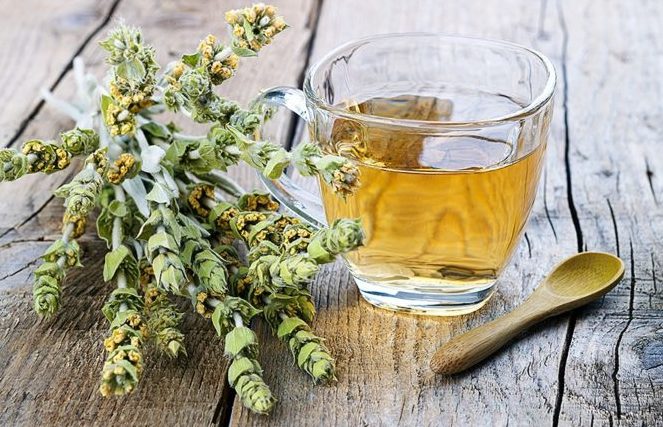 Organic Greek Mountain Tea + Chinese Zongzi [Digestive & Wellness Tea]