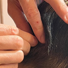 Load image into Gallery viewer, Cell Wellbeing Epigenetic Hair Analysis – Immunity &amp; Wellbeing
