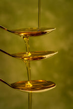 Load image into Gallery viewer, Olive Oil Tasting Appreciation